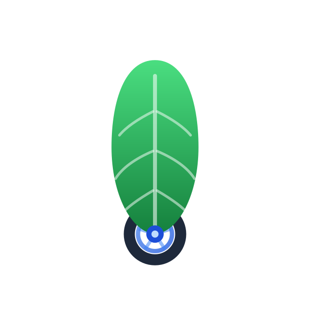 Neemota